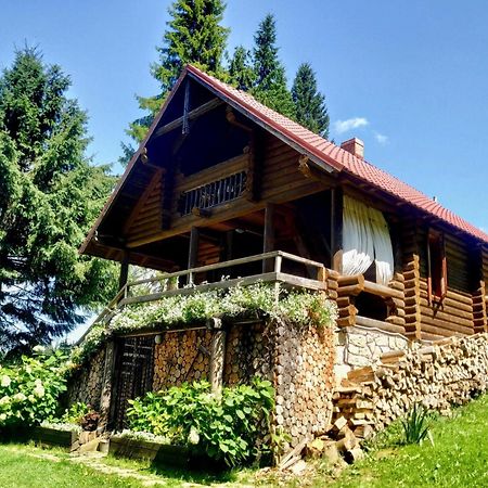 Jazz Xata Villa Yablunytsya Exterior photo